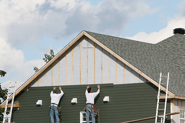 Best Siding Painting and Refinishing  in Dolan Springs, AZ