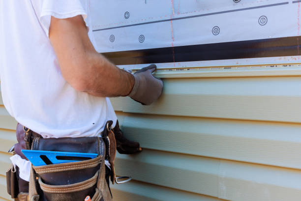 Best Vinyl Siding Installation  in Dolan Springs, AZ